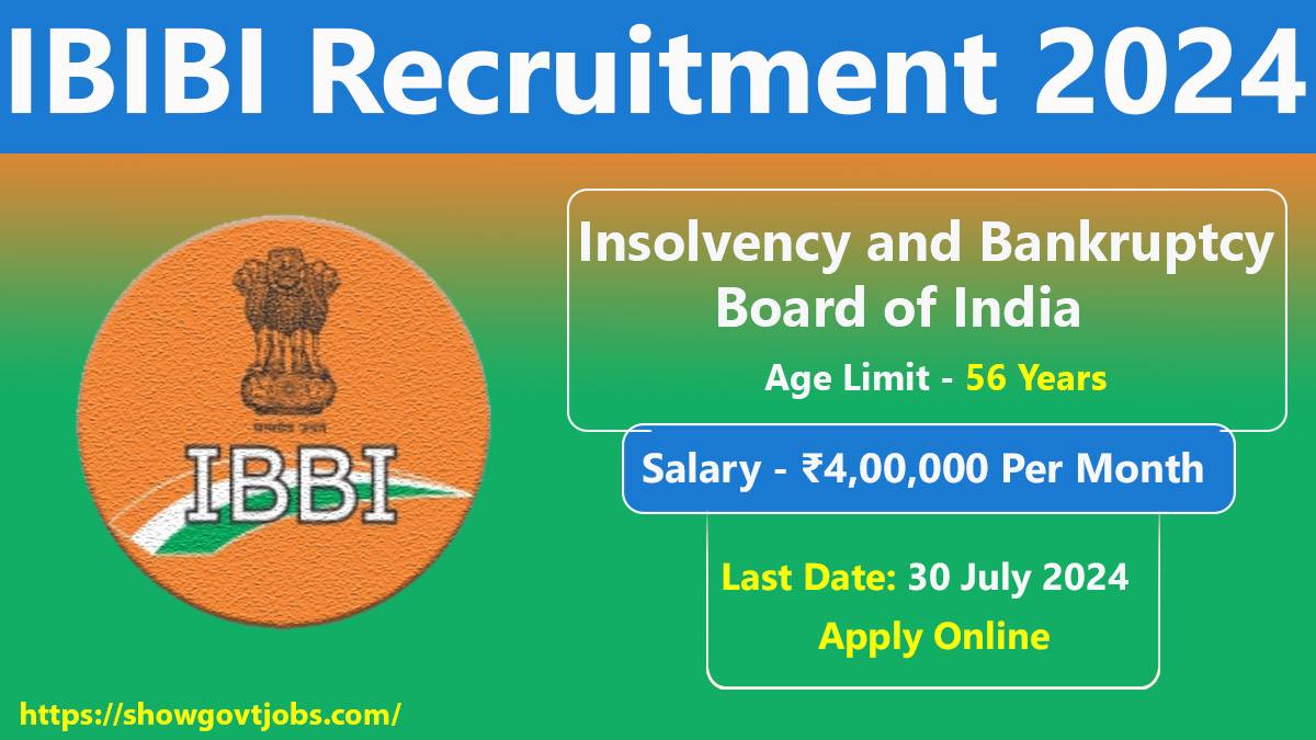 IBIBI Recruitment 2024