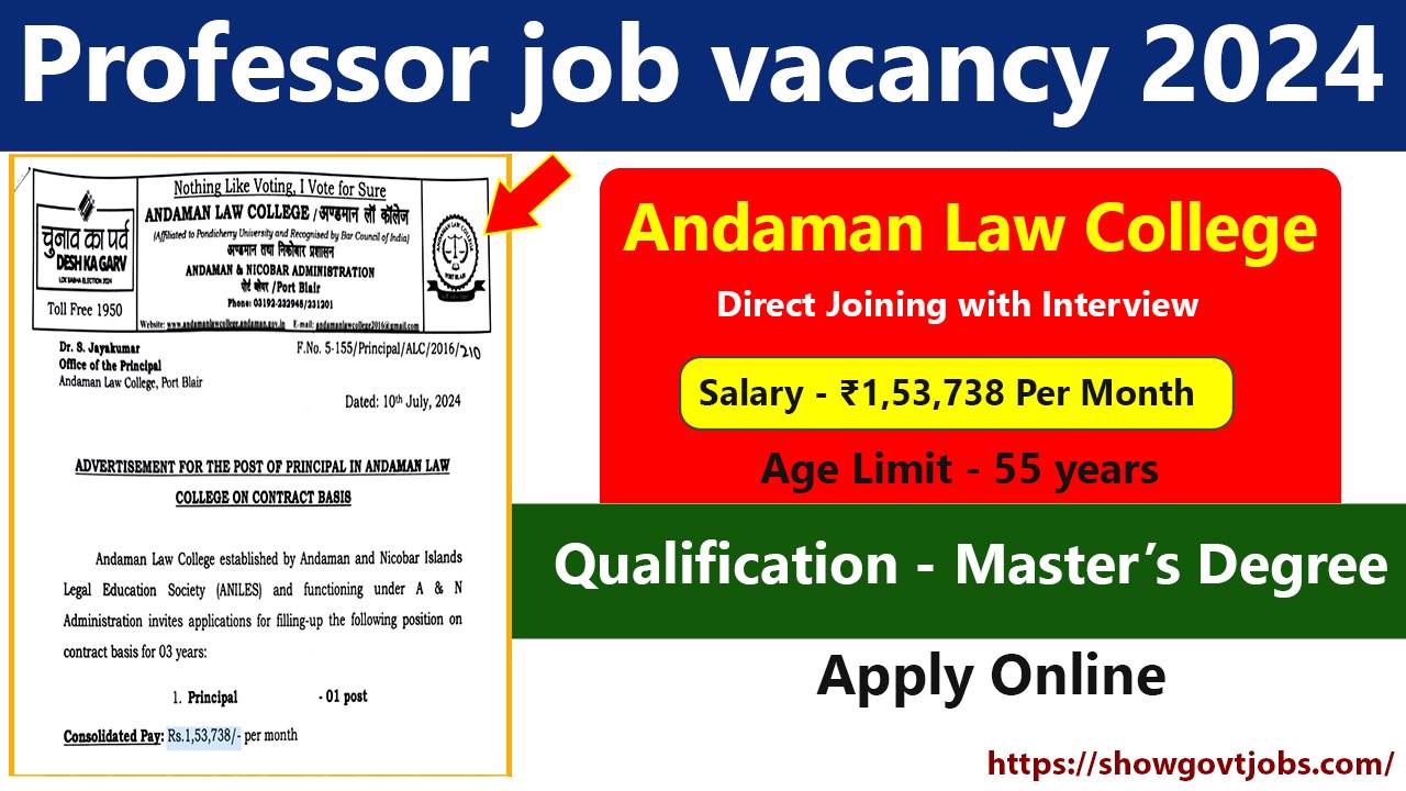 Professor job vacancy 2024