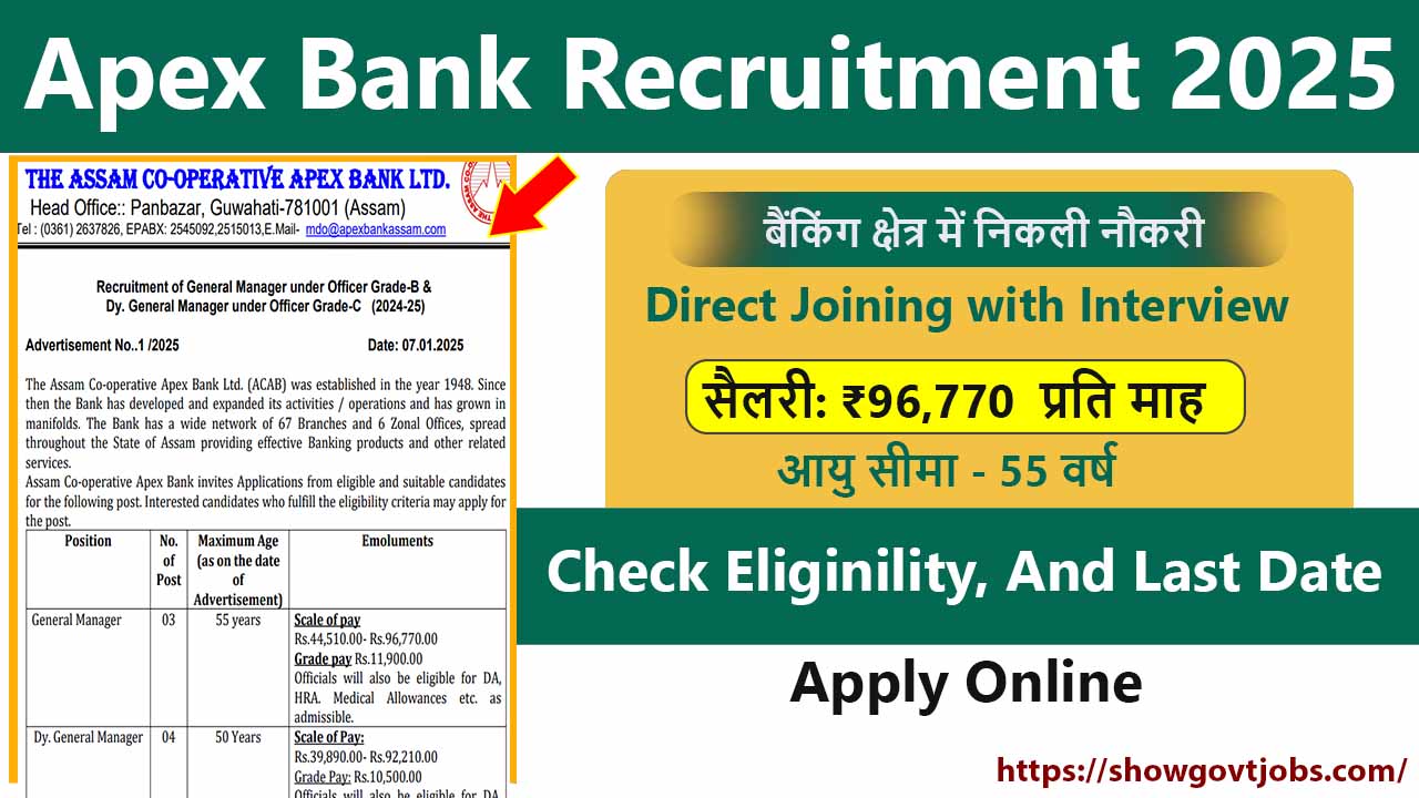 Apex Bank Recruitment 2025 Notification Out